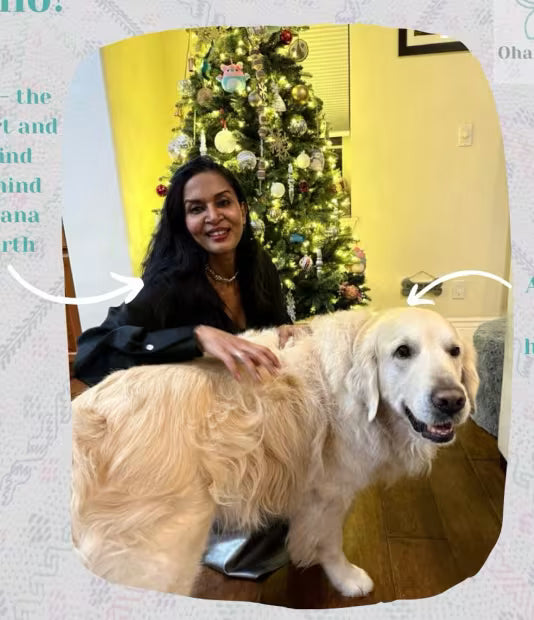 Diary of the founder